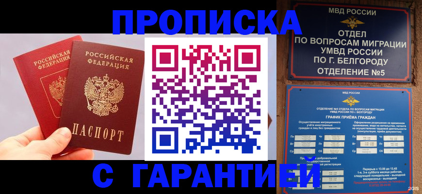 прописка 2025 в Мичуринске